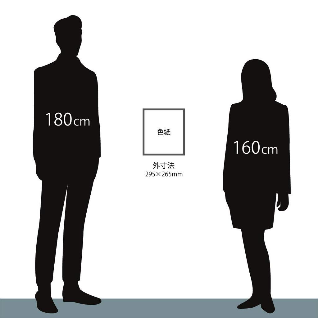 Großer Rahmen für farbiges Papier x 272 4953 8 x 9 Glas (242mm) (Weiß)