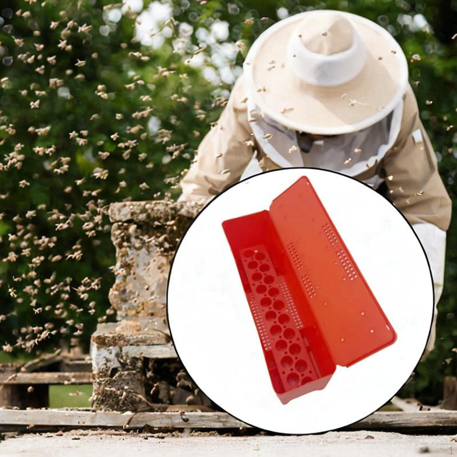 

Транспортировочный ящик для клеток для вывода пчелиных маток Вмещает 20 клеток Встроенные отсеки Прочный Портативный