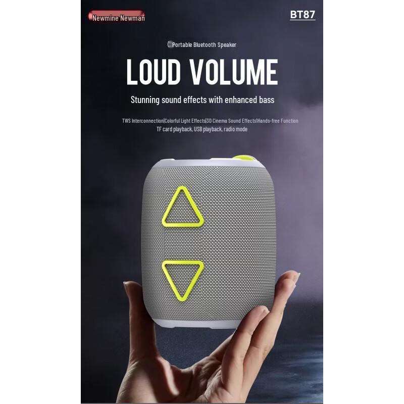 Newmine BT87 Portable Bluetooth Speaker CN plug (adapter included)