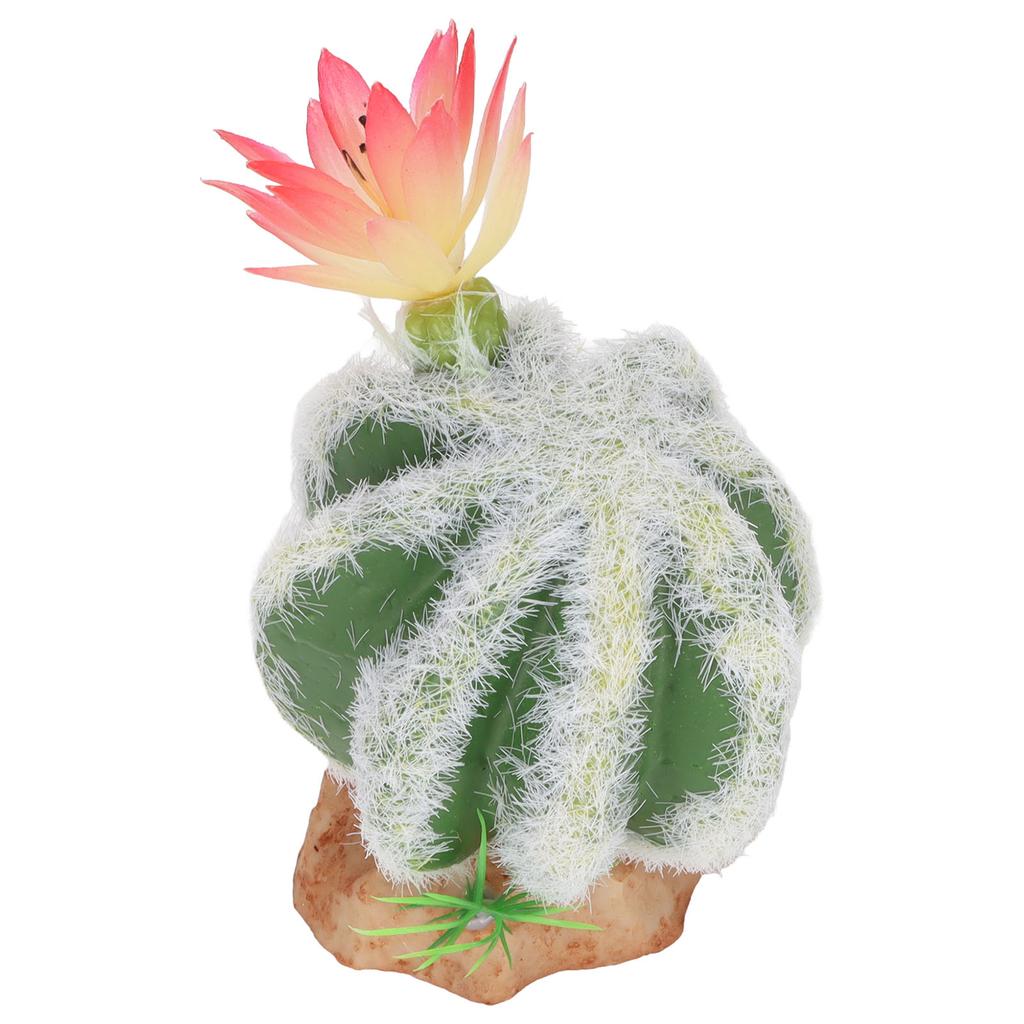 Artificial Cactus Plants Decoration High Simulation Desert Reptile Decoration for Terrarium
