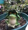 Set mit 3 Frosch Garten Glücksbringer Harz Frosch Innenbereich Eingangsbereich Büro Einzugsgeschenke Figuren, Ornamente, Anhänger, Ornamente, Dekorationen,