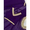 Ready to wear georgette mirror lace saree