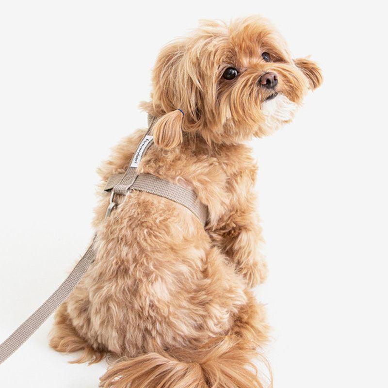 Foreverybari Geschirrset (Beige)