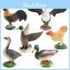 Boerderijdierenset van PVC met kip, eend en gans voor kinderen, geschikt voor educatieve doeleinden en als decoratie voor de boerderij, met authentieke vogelfiguurtjes.