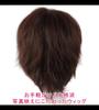 CaseEden Cosplay Wig, Short, 35cm, Heat-Resistant, Dark Brown, Includes 2 Wig Nets