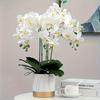 2PCS Artificial Flowers Orchid Set Real Touch 69cm Tall 9 Heads Fake Phalaenopsis Flower Vase Fillers Home Wedding Indoor Decor