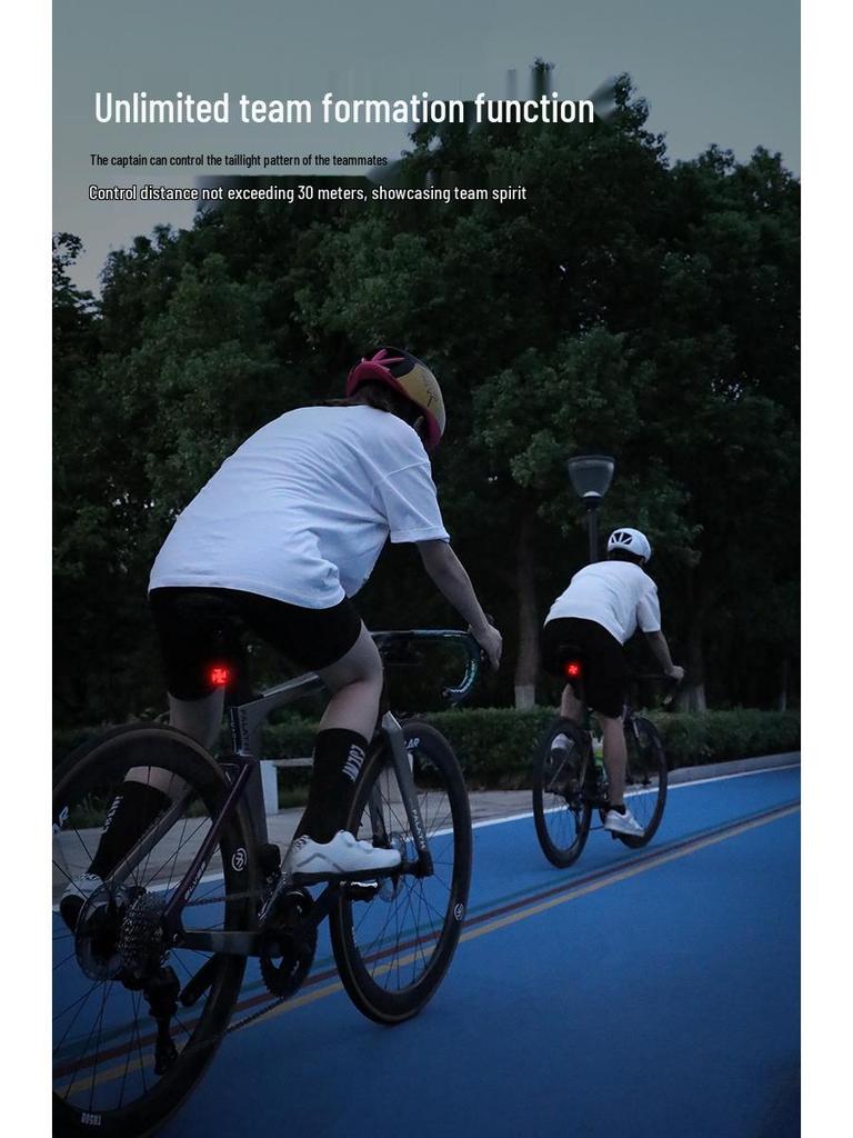 Bike Rear Tail Light for Night Riding – Safety Warning and Brake Light for Road & Mountain Biking