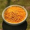 Lotus Honey Pollen Detox Tea Natural Energy Herbal Blend for Adults