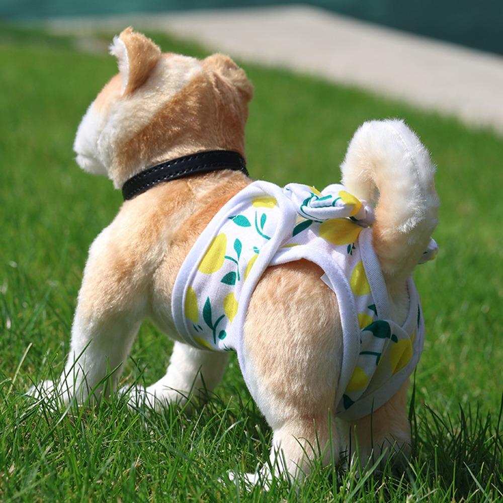 Sanitary Protection Female Dog Pants Cute Physiological Dog Pants Sanitary Dog Pants  Pet Care
