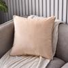 Soft Velvet Throw Pillow Cover Solid Color Sofa Pillowcase High-end Cushion Cover  Hotel