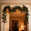 Elegant Plastic Christmas Berries Money Leaf Garlands Reusable Pine Vine Ornament Festival Indoor Decoration
