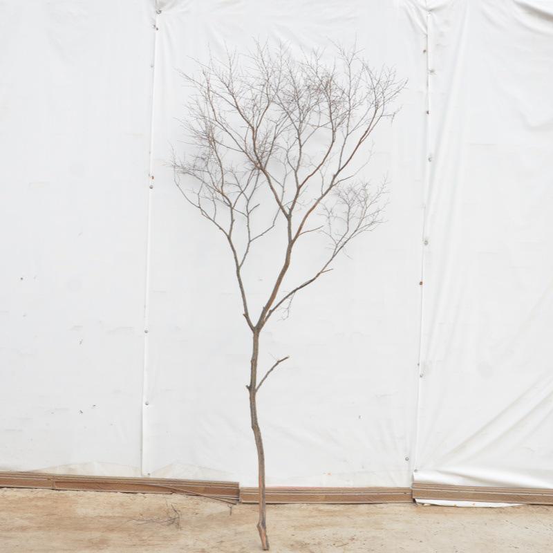 Künstlicher Baumzweig und Stamm Dekorationsstück