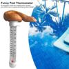 Schwimmbadthermometer Wassertemperaturmesser Kackhaufen-förmig Scherz Schwimmendes Poolthermometer