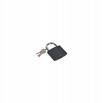 Deadbolts & Locks
