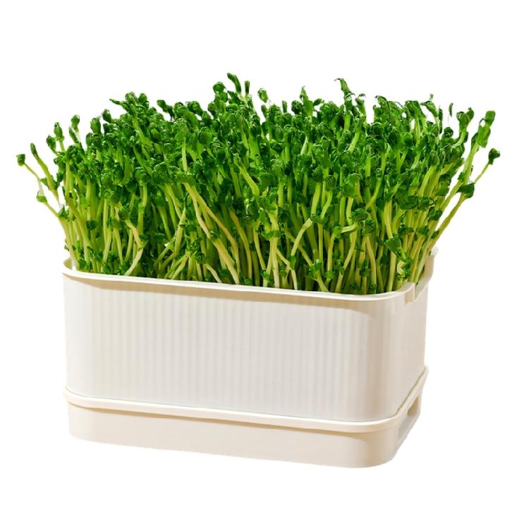 Modern Hydroponic Planter Box Bean Sprouter With Lid Cultivation Germination Tray For Bean Pea Wheatgrass Growing Plant белый