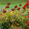 10 Pieces Garden Ladybug Stakes Ornaments Backyard Fairy Accessories Resin Craft Yard Flower