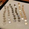 Silver needle metal star fringed earrings European and American fashion temperament earrings niche versatile high-end earrings women