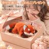 Homehalo Fox Plush Pillow Cozy Cuddle Pillow Birthday Christmas Present - Small, Cute, Fluffy, Weighty, Comfortable, - Fun, Gift, Celebration, (30cm)