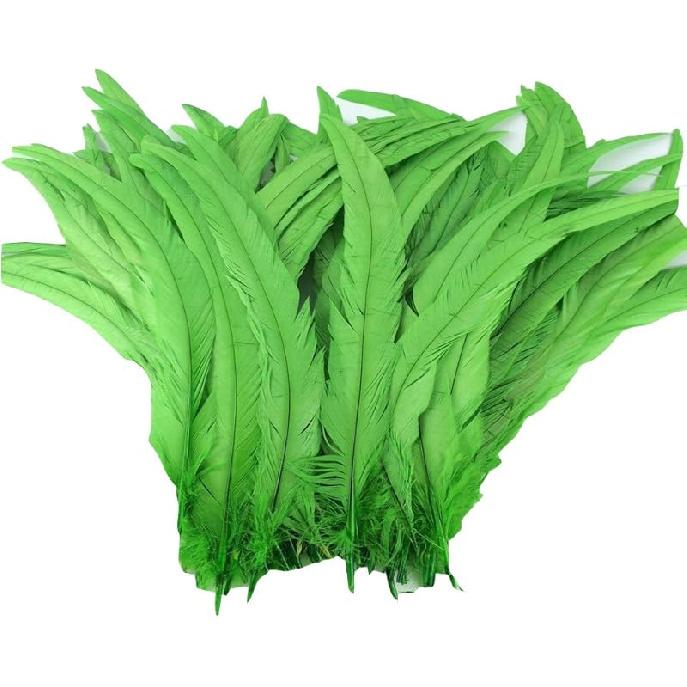 Nature Rooster Coque Tails Feathers Costume Craft Decoration 12-14inch Pack of 25 (black)