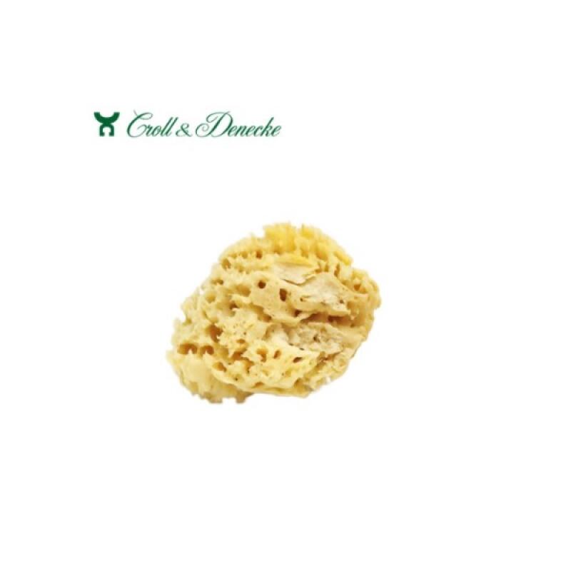 

[7087] CROLL Natural Sponge Classic C007