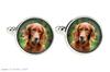 English setter, Lawerack, Laverack - cufflinks, a shirt accessory, a shirt pendant from the Art-Dog brand