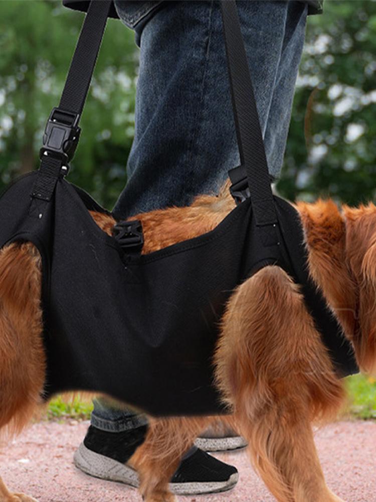Hundeschlinge Hund Hebegeschirr Rucksack Tragegestell Für Hund Körperstütze Rehabilitationsschlinge Gepolstert Für Verletzte Ältere Hunde