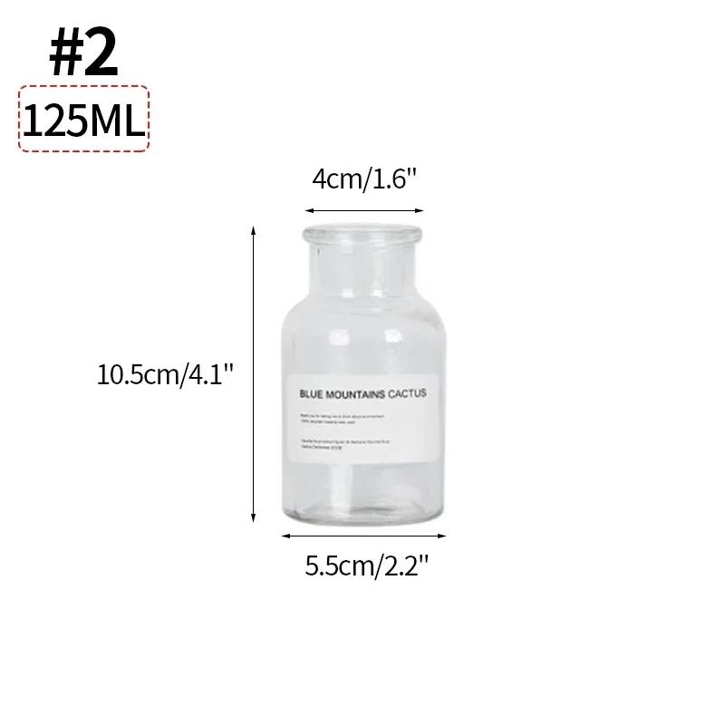 Ins Glass Flower Vase Transparent Dried Flower Hydroponic Terrarium Container Bottle Clear Plant Bottles Home Desktop Decor