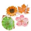 Kawai Cute Special Shaped Leaf Plastic Fan for Students in Summer PP Hand Cranked with Beautiful Flowers and Portable Small Gift
