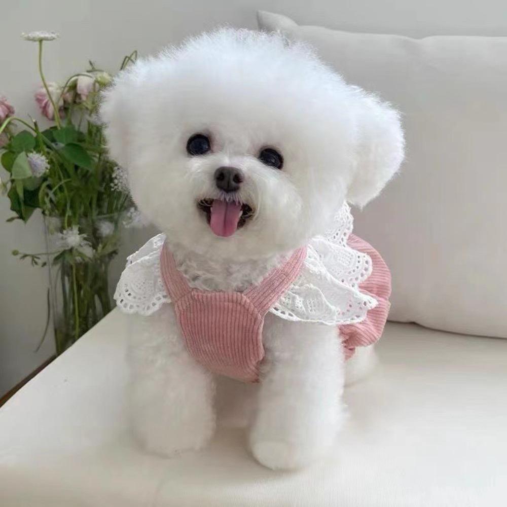 With Pulling Buckle Puppy Dresses Corduroy Spring Pet Clothing Dog Pumpkin Skirt  for Teddy Cat