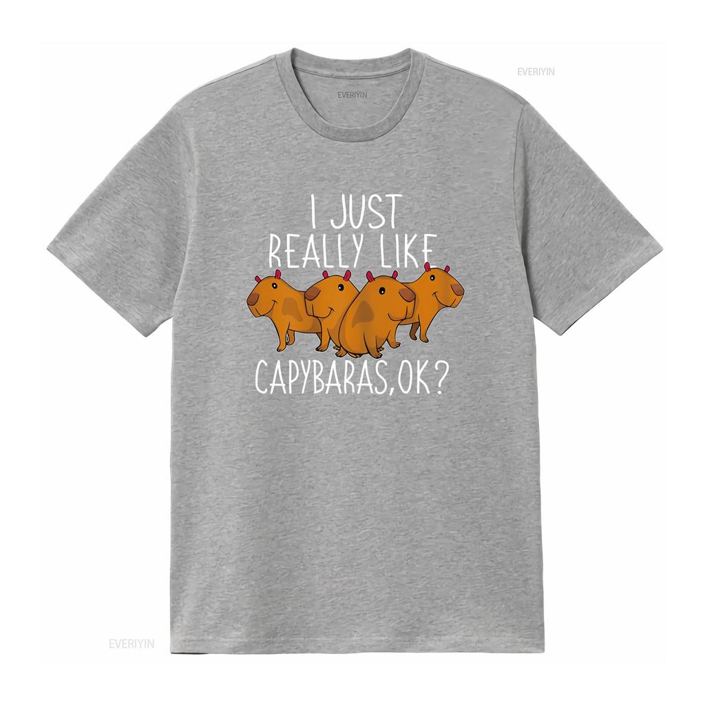 Capybara Lover Cute T Shirt  vintage Washed Casual streetwear Soft graphic homme Stylish designer clothes Versatile Stretched