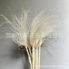 Long Pole Feather Grass Dried Flower Fluff Grass Needle Grass, Fresh And Smart Soft Decoration High-End Flower Diy Dried Flower Bouquet