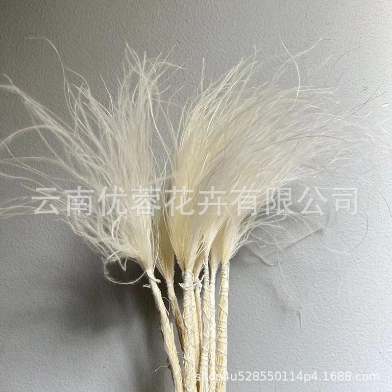 Long Pole Feather Grass Dried Flower Fluff Grass Needle Grass, Fresh And Smart Soft Decoration High-End Flower Diy Dried Flower Bouquet