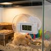 High Accurately Reptile Thermometer Magnetic Thermometer Hygrometer  Feeding Tank