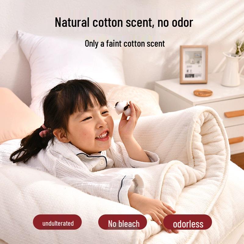 Thickened Soft Cotton Wadding Mattress Pad for Student Dorm Single Bed or Floor