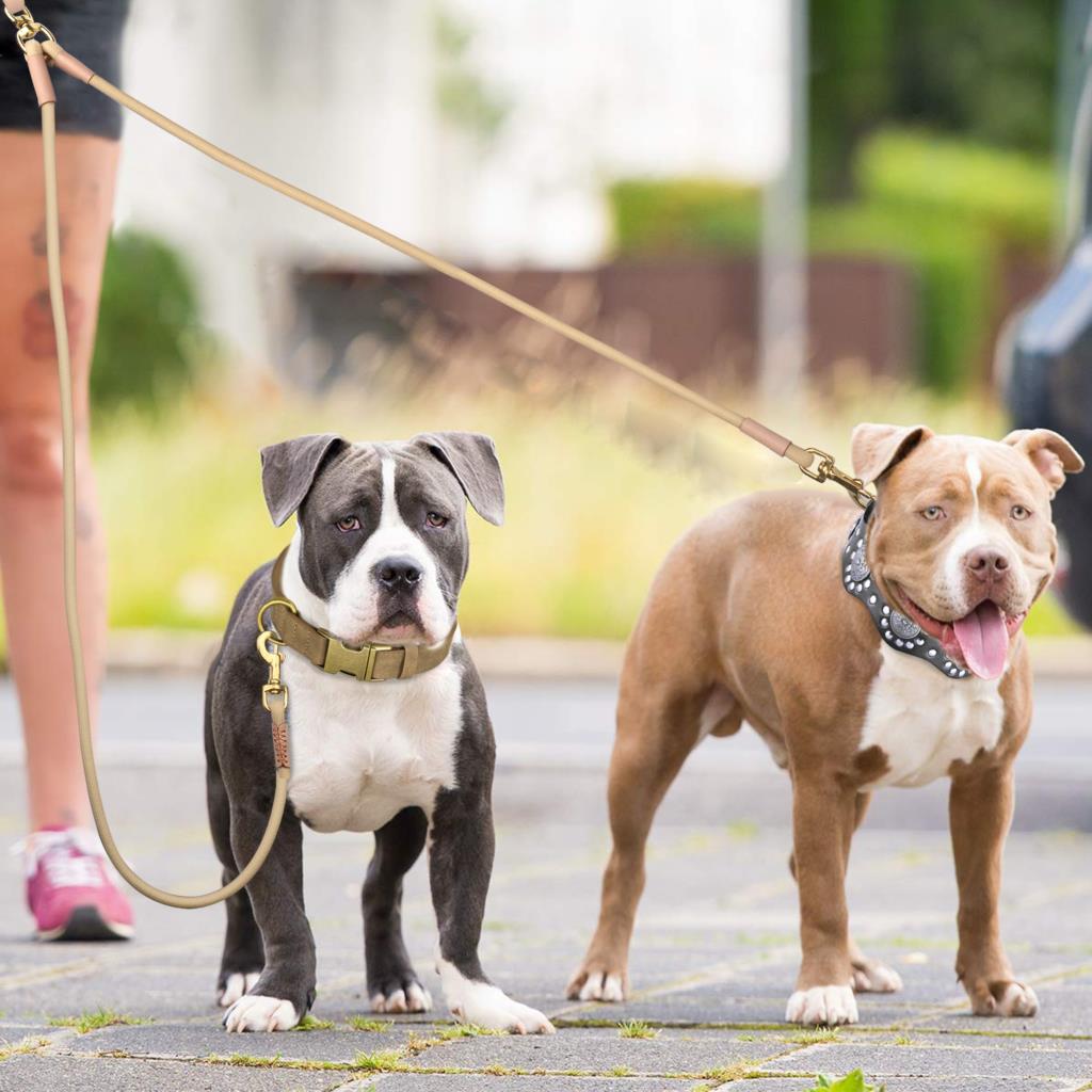 Шкіряний Повідець для Собаки Подвійний З'єднувач 1 Спосіб 2 Способи Повідці для Собак Міцні Повідці для Вигулу Домашніх Тварин Мотузка Для Собак Пітбуль Французький Бульдог Мопс