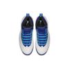 Jordan 10 Retro Charlotte 2016 310805-107