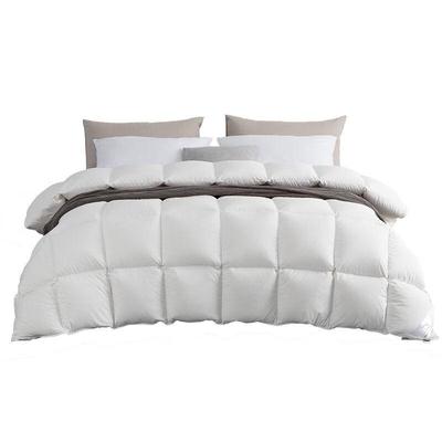 All-Season Hotel & Home Quilt Insert