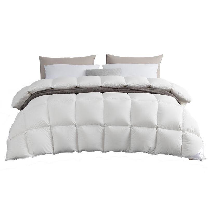 

Shengmian All-Season Quilt Insert