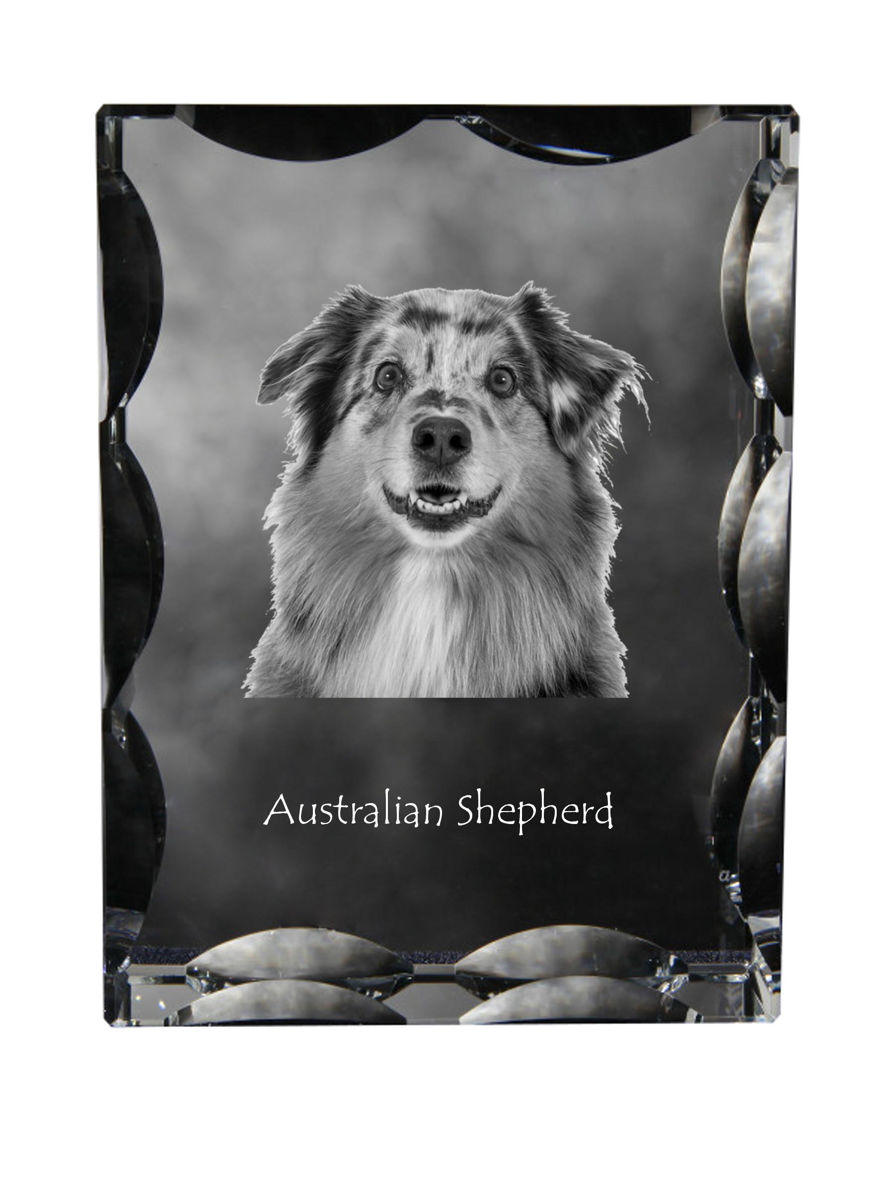 

Australian Shepherd - crystal with a picture of a dog, glass statuette with a picture, unique frame with a picture from Art-Dog brand прозорий