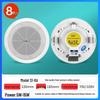 SAST S1-8A Ceiling-Mounted PA Speaker (CN Version)