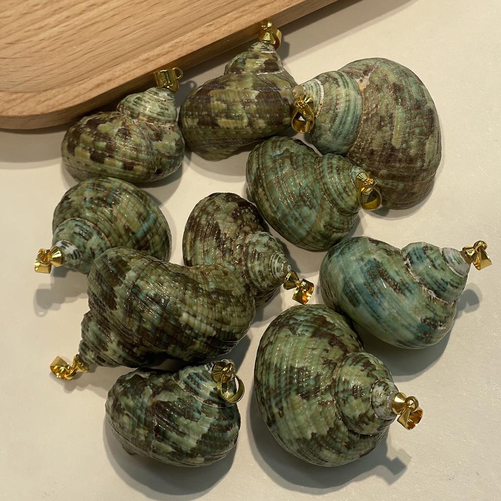 10Pcs Natural Green Turbo Shell Charms 22×27~30×35mm Sea Snail Conch Pendants With Gold Metal Bail For DIY Beach Necklace Earring Jewelry Making
