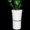 High-Waisted Ceramic Planter with Platinum Trim