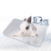 Planche de Refroidissement Argentée pour Hamster Coussinet Glacé Refroidissant pour Animal de Compagnie Planche de Refroidissement Durable pour Animal de Compagnie