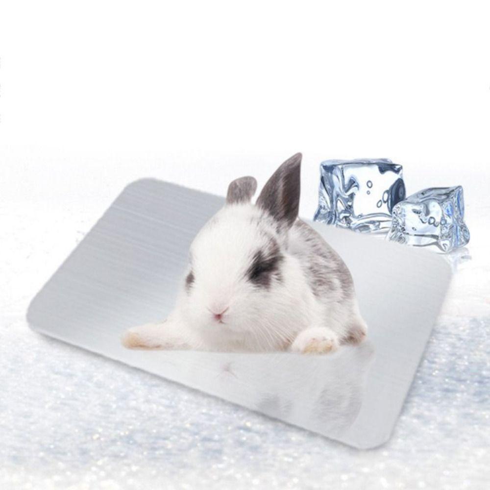 Planche de Refroidissement Argentée pour Hamster Coussinet Glacé Refroidissant pour Animal de Compagnie Planche de Refroidissement Durable pour Animal de Compagnie