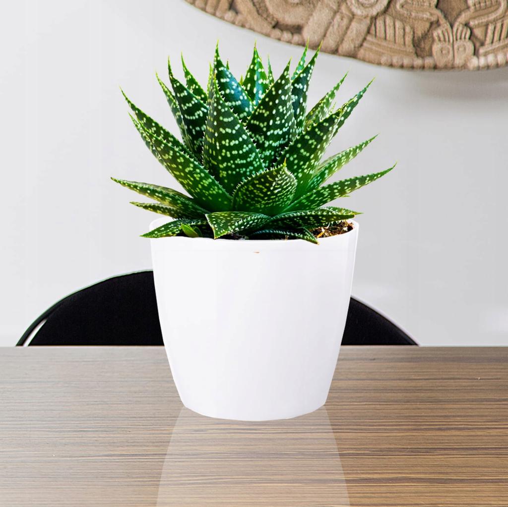 Blumentopf mit Kunststoffabdeckung, weiß, 13,5 cm, Magnolie