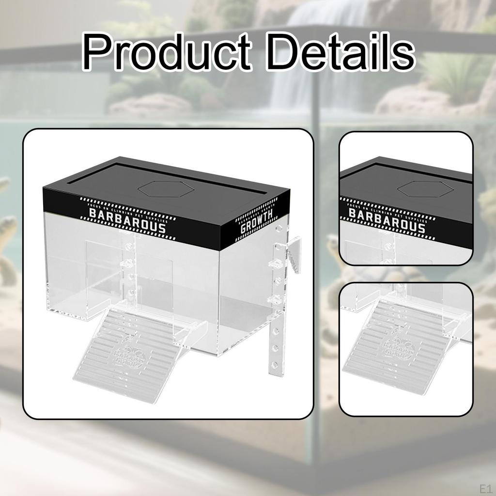 Aquatic Turtle Basking Area with Lid and Dock Setup