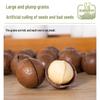 Extra-Large Thin-Shell Creamy Macadamia Nuts, 500g Jar