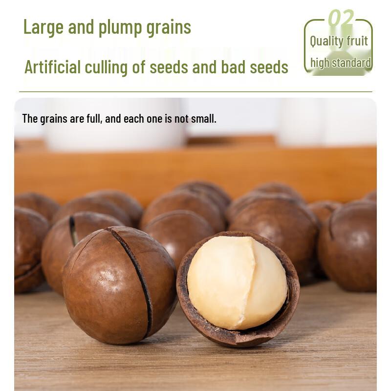 Extra-Large Thin-Shell Creamy Macadamia Nuts, 500g Jar