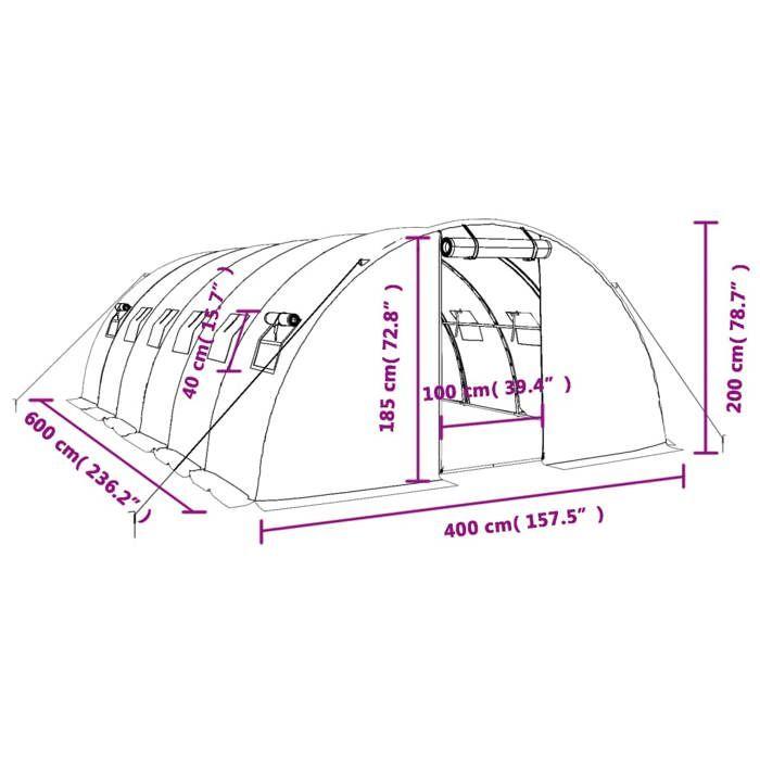 VidaXL Greenhouse with White Steel Frame 24 M² 6x4x2 M, Polytunnel, Cold Frame, Tomato Greenhouse, Garden Greenhouse, 3188073