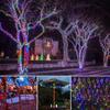 Outdoor Led Solar String Lights Waterproof 8 Modes Lamp For Room Garden Terrace Christmas Tree Decor